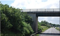 TM0797 : A11, Silver Street Bridge by N Chadwick