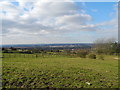 Farmland west of Birches Farm