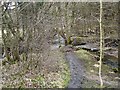 Confluence near Esh Winning