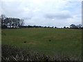 Farmland off Bury and Bolton Road