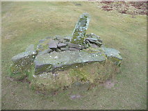 SO2824 : The Dialgarreg Stone or Revenge Stone by Jeremy Bolwell
