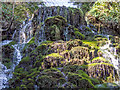 Moss-covered waterfall