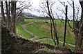 Seaton : West Cliff Terrace