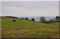 East Devon : Countryside Scenery