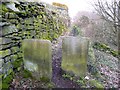 Stile on the north-east branch of Elland Footpath 51