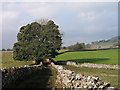 Lane west of Orton