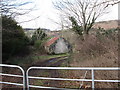 A derelict cottage west of the Newtown Road