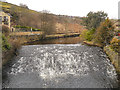 River Tame, Weir at Roaches