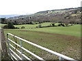 Manured field in the Kilbroney Valley