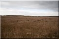 NR4163 : Bowl of marshland west of Beinn Dubh, Islay by Becky Williamson