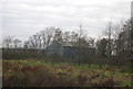 Barn behind the trees