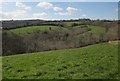 Valley at Hapstead