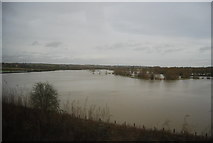 SP7209 : Spot the River Thame by N Chadwick
