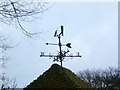 Weather vane in Shawford