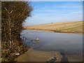 The Mile End Stream at North Farm