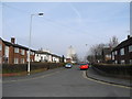 Blackberry Lane, Brinnington