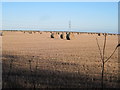 SE9537 : Bales  still  in  a  field  in  January by Martin Dawes