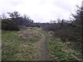 Path to Forest School