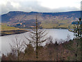 SE0103 : Dove Stone Reservoir from Holmfirth Road by David Dixon