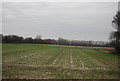 Farmland by Stourmouth Rd