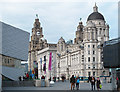 SJ3390 : Liverpool waterfront buildings by William Starkey