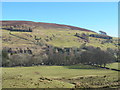 The valley of the River South Tyne around Slaggyford