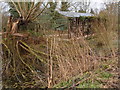 Dilapidated shed on Flitton Moor