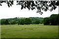 Pasture north of Llangybi, Ceredigion