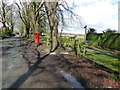 Post box on Tortington Lane