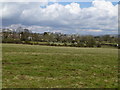 View over field towards Arundel