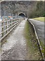 Platform at Woodhead Station