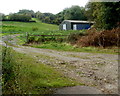 Hilly farmland, Llanddewi Fach