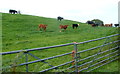 Interested observers in a field alongside the lane from Tre-herbert Road to Sor Brook