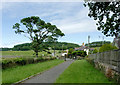 SN5952 : Pathway from St Bledrws Church, Ceredigion by Roger  D Kidd