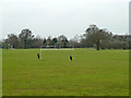 Goal posts, Mill Hill Park