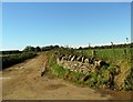 Access road to Symonds Hall Farm near Uley