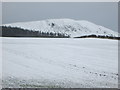 The snow covered fields of Georgefield