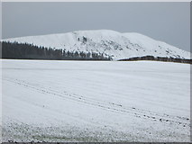 NT5838 : The snow covered fields of Georgefield by James Denham