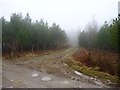 Junction on track to Aske Moor Farm