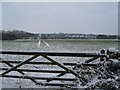 SP3571 : Snowy field opposite Waverley Wood by E Gammie