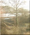 Far Thrupp: Thames and Severn Canal bridge, from the train