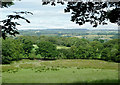 Farmland south of Llwyn-y-groes, Ceredigion