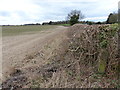 Fields near Forest View Farm