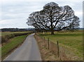 Church Road in Peckleton