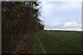 Footpath along the field boundary