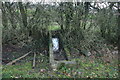 Stone water trough in a hedge