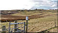 Disused crofting land near Tongue