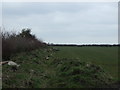 Farmland and hedgerow