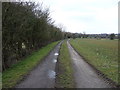 Farm track off Bank Lane