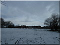 Footprints in the snow at Sharp